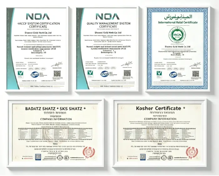 Certificate.webp Certificate.webp