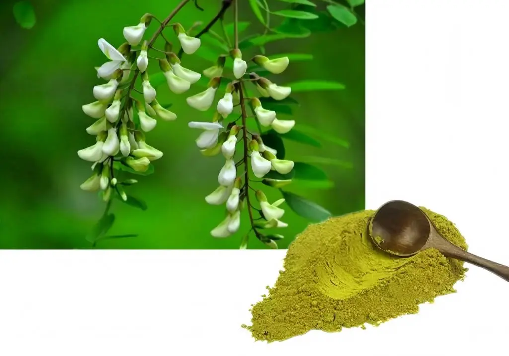 Sophora Japonica Extract Powder Sophora Japonica Extract Powder