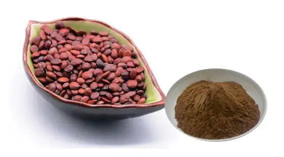 Spine Date Seed extract