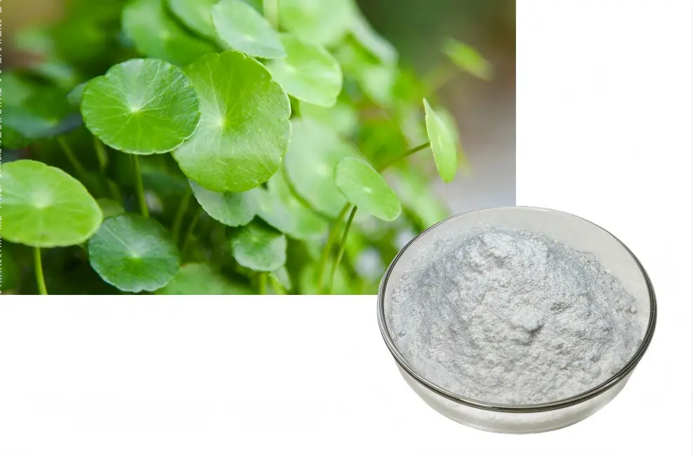 Gotu Kola Extract Powder