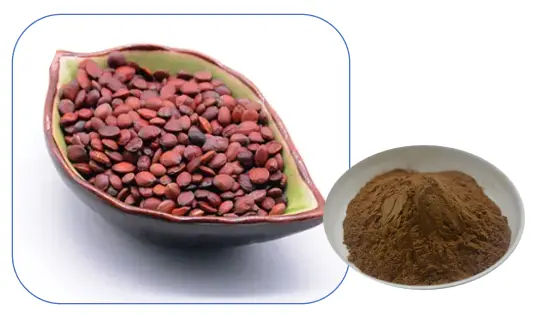 Jujuba Seed Extract Powder