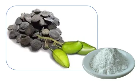 5-Hydroxytryptophan Powder 5-Hydroxytryptophan Powder