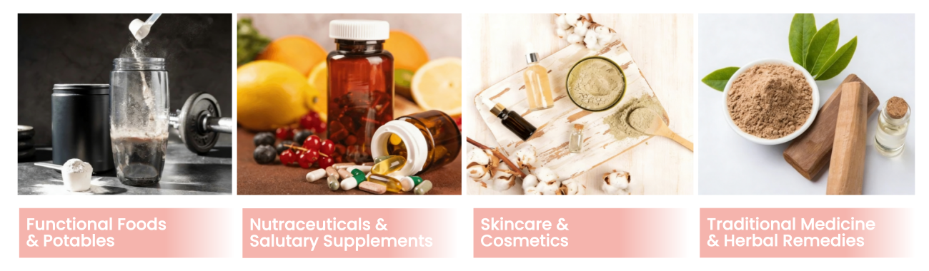 Ginseng Extract Ginseng Extract