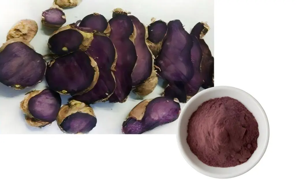 Kaempferia Parviflora Powder Kaempferia Parviflora Powder