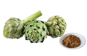 Artichoke Cynarin Powder Artichoke Cynarin Powder