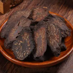 Cistanche Tubulosa Extract Powder Cistanche Tubulosa Extract Powder