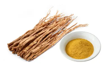 Danshen extract powder