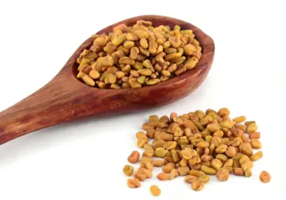 Natural Herbal Extract Fenugreek Natural Herbal Extract Fenugreek