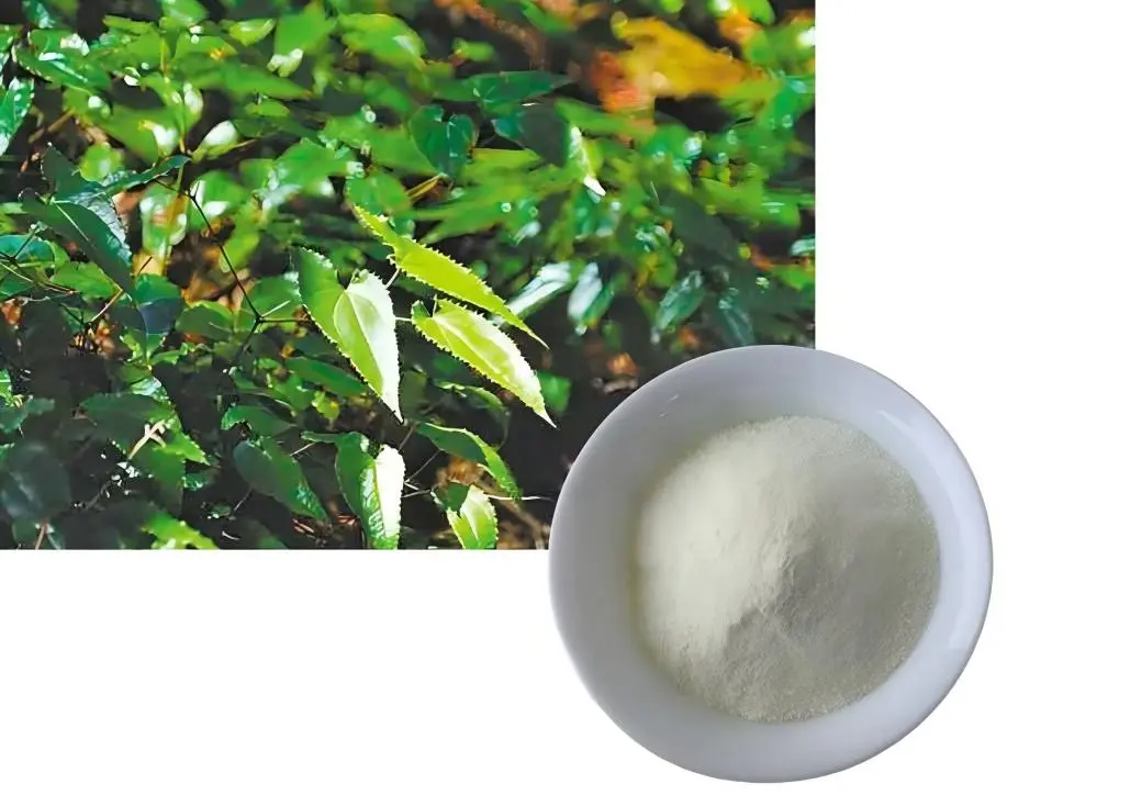 Epimedium Leaf Powder 