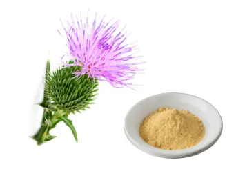 bulk milk thistle powder 