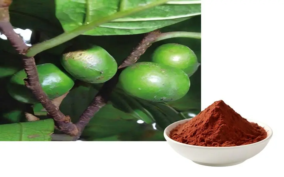 Pygeum Africanum Extract Powder