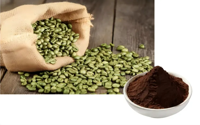Best Green Coffee Bean Extract Powder Best Green Coffee Bean Extract Powder