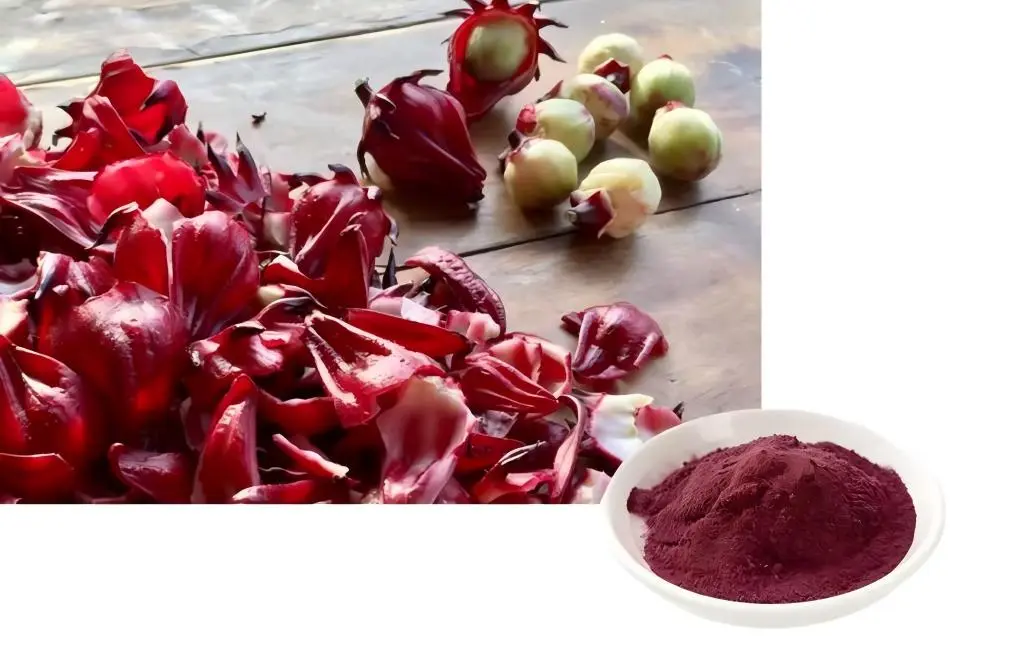 Hibiscus Sabdariffa Extract Powder