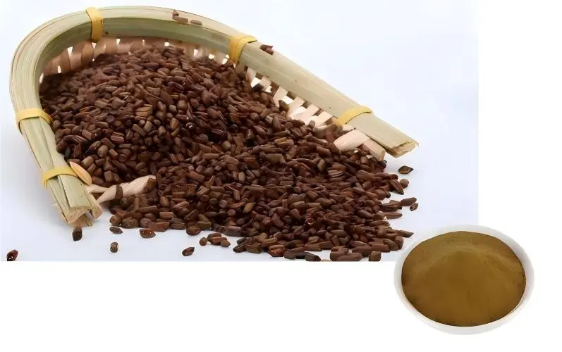 Cassia Seed Extract Powder Cassia Seed Extract Powder