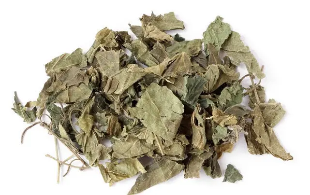 White Mulberry Leaf Extract Powder