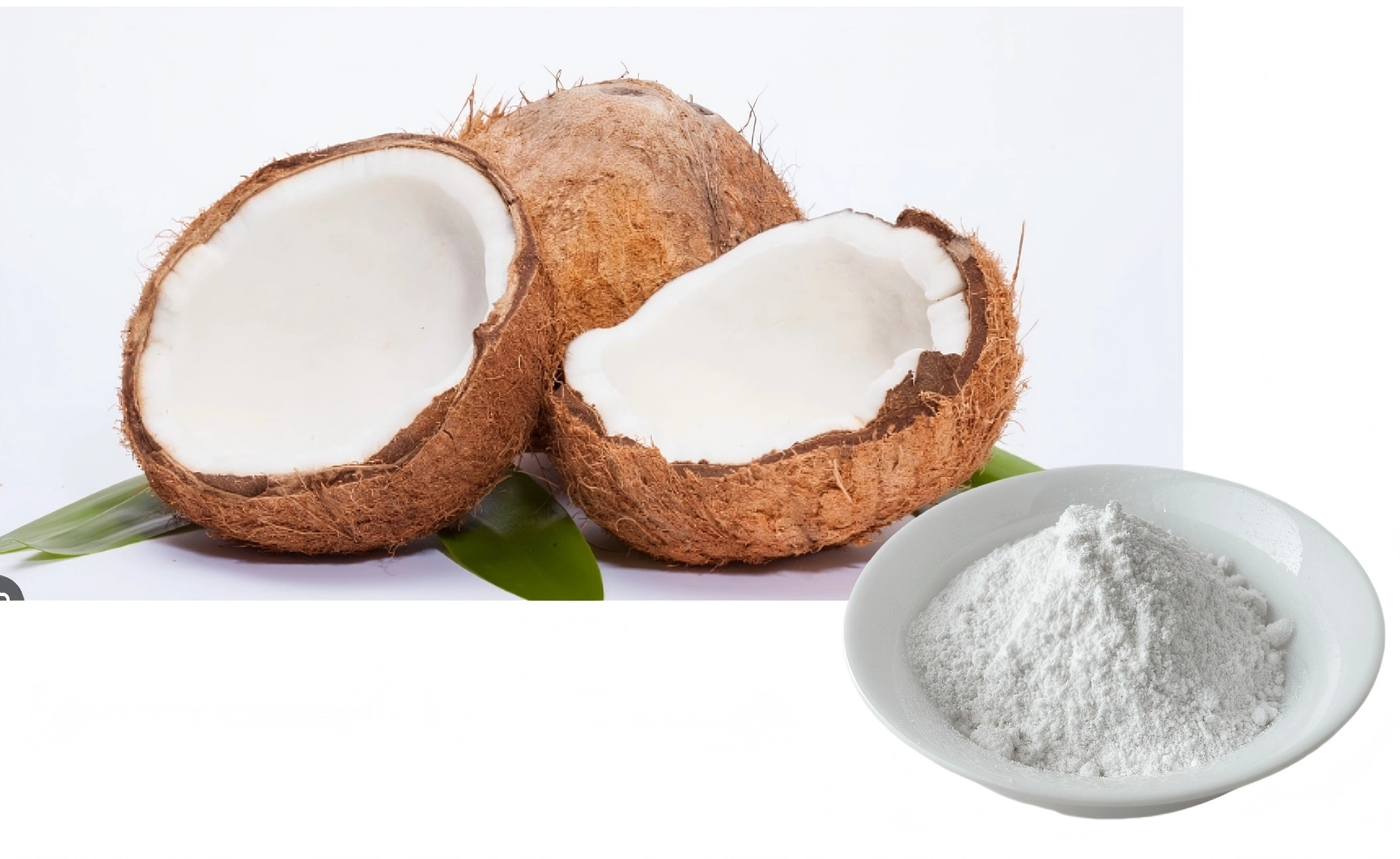 Coconut MCT Oil Powder Coconut MCT Oil Powder