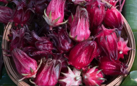 Roselle extract powder