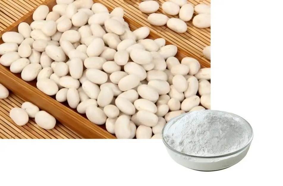 White Kidney Bean Extract Powder