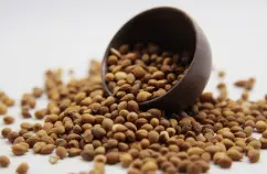 Semen Pruni Extract Powder Semen Pruni Extract Powder