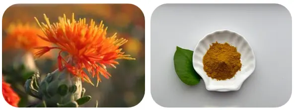 Safflower Yellow Powder