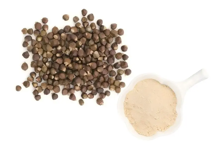 Aframomum Melegueta Seed Extract