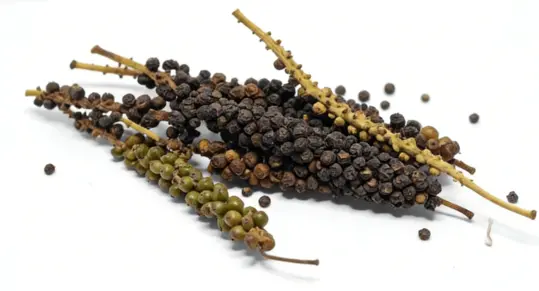 Aframomum Melegueta Seed Extract Aframomum Melegueta Seed Extract