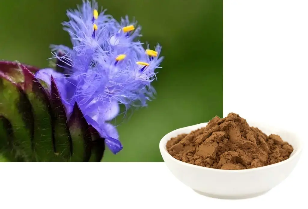 Cyanotis arachnoidea extract Cyanotis arachnoidea extract