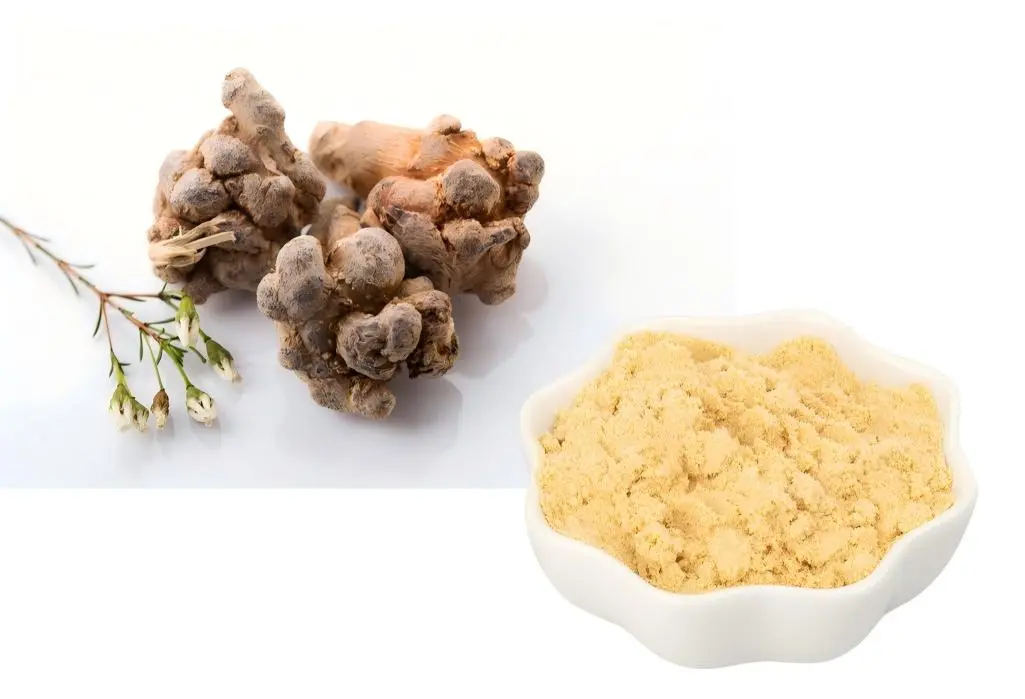 Panax Notoginseng Saponin Powder