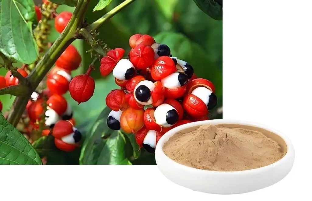 Natural Guarana Extract Powder Natural Guarana Extract Powder