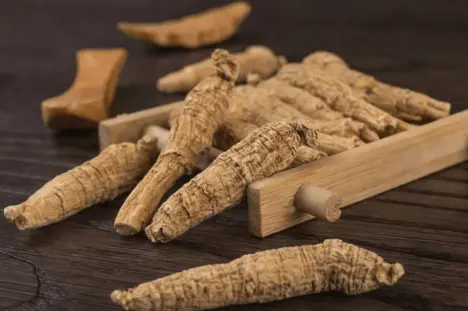 American ginseng extract powder American ginseng extract powder