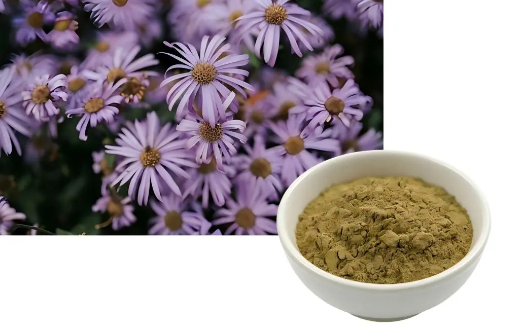 Echinacea extract powder Echinacea extract powder