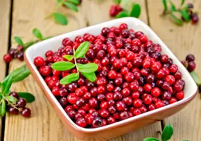 Lingonberry Extract Lingonberry Extract