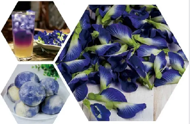 Matcha Butterfly Pea Flower powder Matcha Butterfly Pea Flower powder