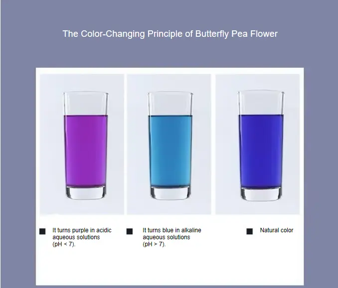 Matcha Butterfly Pea Flower powder