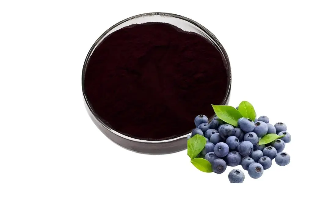 Bilberry Extract Powder Bilberry Extract Powder