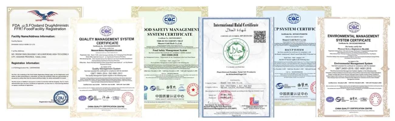 Certifications Certifications