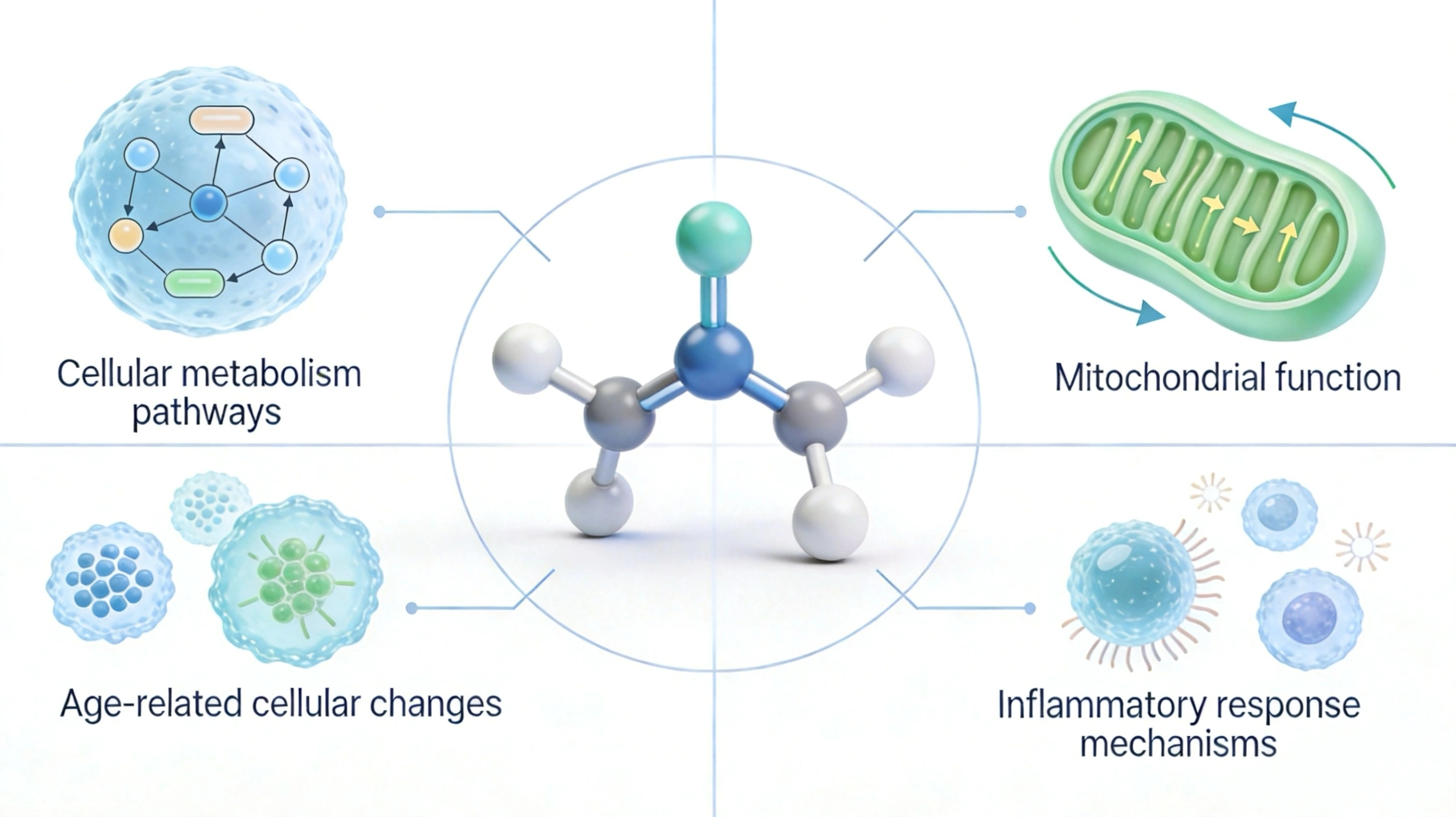 Applications Applications