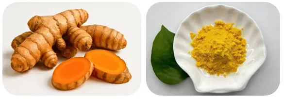 Curcumin 95 Natural Turmeric Extract Powder Curcumin 95 Natural Turmeric Extract Powder