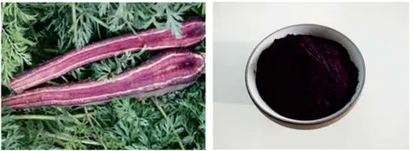 Natural Purple Carrot Powder