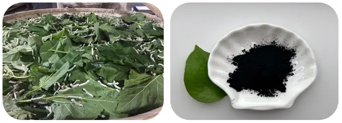 Sodium Copper Chlorophyllin Powder