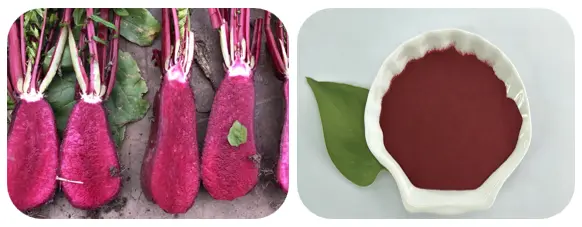 Red Radish Powder Red Radish Powder