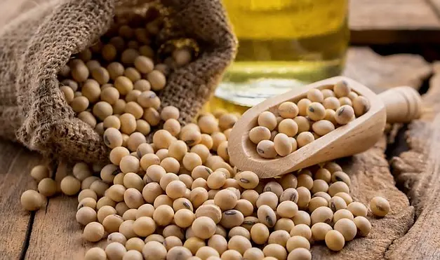 Phosphatidylcholine Phosphatidylcholine