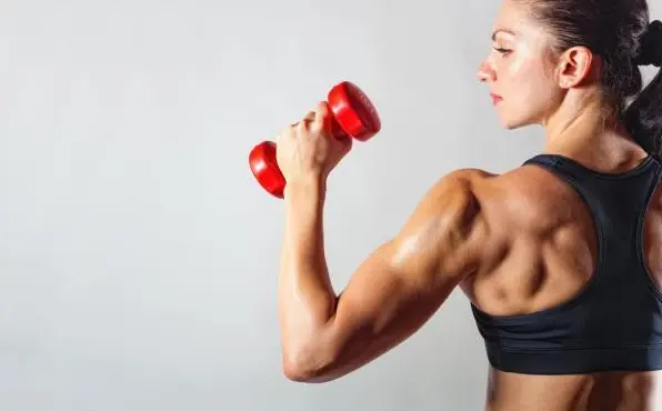 80 Mesh Creatine Special