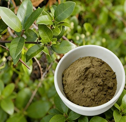 blog-1-1