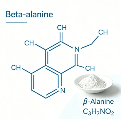 Beta-Alanine Beta-Alanine