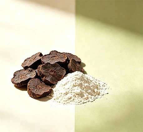 Inulin Powder Inulin Powder