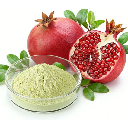 Urolithin A Benefits for Muscle, Aging, and Cellular Energy