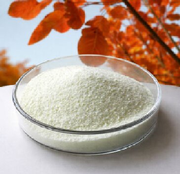 How Fisetin Supports Anti-Aging and Cellular Health