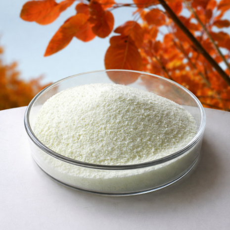 Fisetin vs Quercetin: Which Flavonoid for Longevity Products?