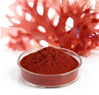 Astaxanthin Benefits for Skin, Eyes, and Anti-Aging